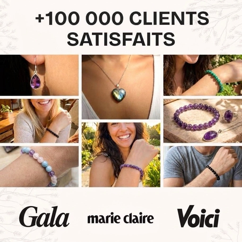 +100 000 clients satisfaits