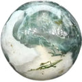 Agate Arbre