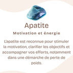 Boucles d'oreilles "Motivation" en Apatite Goutte (Argent 925)