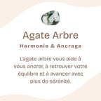 Pierre roulée Agate Arbre (Lot de 60g)